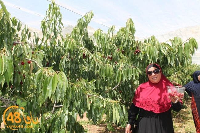 re7la a7ban (84).JPG